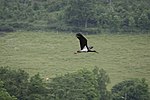 Landschaftsschutzgebiet Lennetal von östlich Westfeld bis westlich Hundesossen