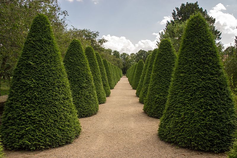 File:Schwetzingen, August 2013 - panoramio (4).jpg