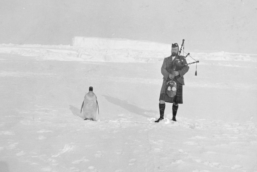 A penguin stands stoically on the left as a piper in full Scottish regalia on the left plays the bagpipes.