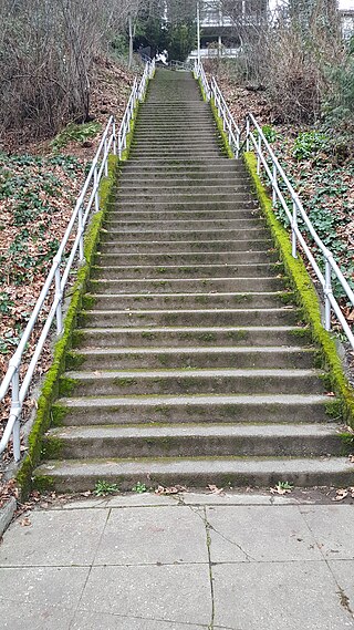 <span class="mw-page-title-main">Blaine Street Stairs</span> Outdoor stairway in Seattle, Washington, U.S.