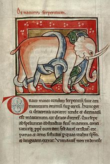 Dragon and Elephant: folio 77 verso to 78 recto Serpent killing an elephant.jpg