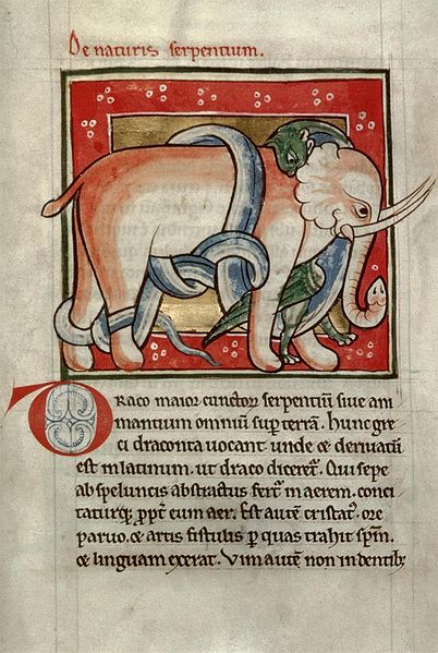 File:Serpent killing an elephant.jpg