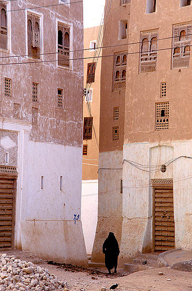 These tower blocks were built in Shibam, Yemen, in the 16th century, and are the tallest mudbrick buildings in the world, some more than 30 metres (98