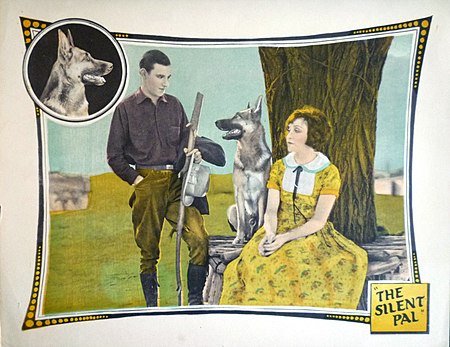 Silent Pal lobby card 2.jpg