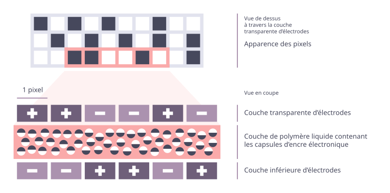 File:Simple E-ink - Liquid polymer (French).svg