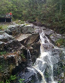 Simpson air Terjun, Gunung Coot-tha Forest.jpg