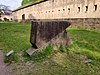 Germersheim Sculpture Park Plant 7.jpg