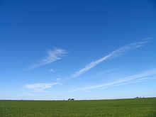 Campo de soja de Illinois. El estado es uno de los mayores productores de soja de Estados Unidos.