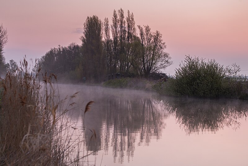 File:Spring in Holland (33821730208).jpg