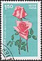 Stamp of India - 1984 - Colnect 477277 - Roses - Mrinalini.jpeg