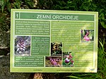 Stanoviště 1: Zemní orchideje