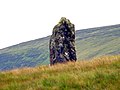 Standing Stone - geograph.org.uk - 494606.jpg