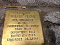 wikimedia_commons=File:Stolperstein Hohenems Helene Elkan.jpg