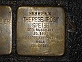 Stolperstein Therese 'Rosi' Speier, 1, Schillerstraße 7, North (Holland), Kassel.jpg