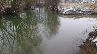 Streu (Franconian Saale) river in Bavaria, Germany