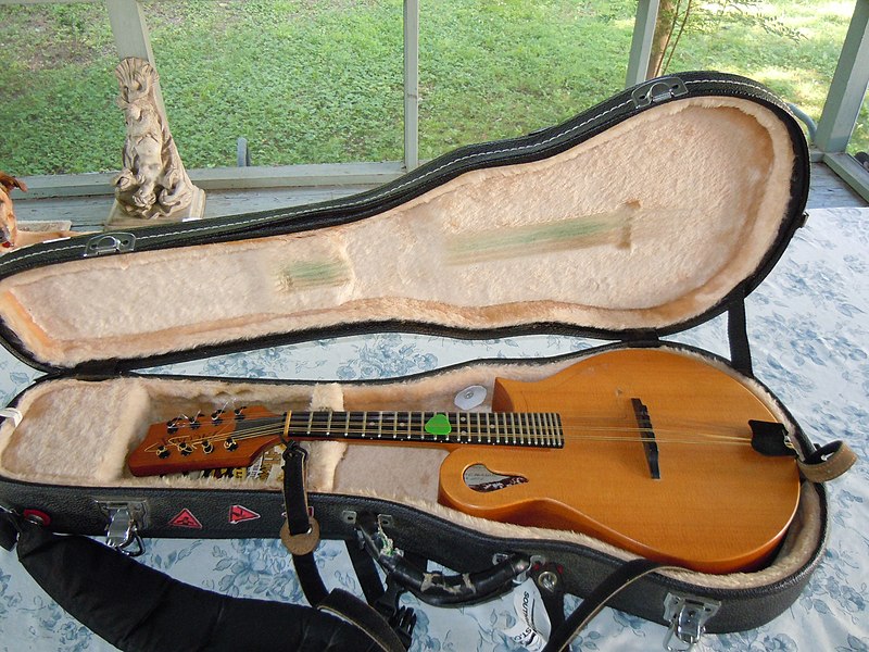 File:Tacoma M1 mandolin in case.jpg