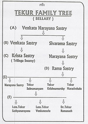 Family tree of Tekur Subramanyam