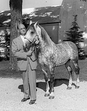 Tempel Farms founder Tempel Smith with one of his stallions in 1958. The farm was then located in Spring Grove, Illinois. Tempel Smith and Lipizzan stallion 1958.JPG