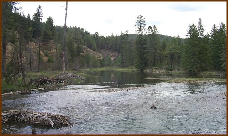 File:Tenderfoot Creek on the Lewis & Clark National Forest (19530122831).jpg