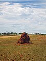 Termite Mound - Flickr - GregTheBusker (1).jpg