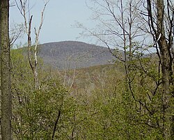 Schaefer Head, la plej alta punkto de Blair County