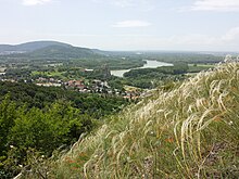 Devinska Kobyla forest-steppe in Slovakia Thebner Kogel sl1.jpg