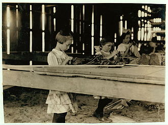 Child laborers in a tobacco shed at Hawthorn Farm in Hazardville, 1917. Photo by Lewis Hine. Tobacco-shed.jpg