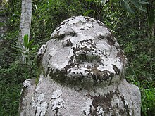 Megalithic stone in Central Sulawesi Tokalalaea Megalith 2007.jpg