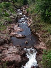 Topli do river, Pirot