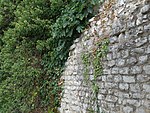 Toulaud, Ardèche, Francia.  Restos del campamento romano 03.jpg