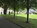 Thumbnail for File:Trees by the path to St. John the Baptist church, Tideswell - geograph.org.uk - 5566475.jpg