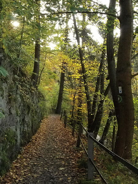 File:Treseburg Waldweg (12).JPG