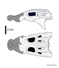 Thumbnail for Trilophosuchus