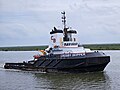 * Nomeação Tugboat Crosby Skipper --GuavaTrain 21:07, 2 June 2024 (UTC) * Revisão necessária
