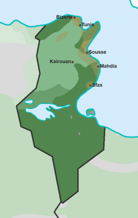 Carte linguistique de la Tunisie avec en vert les parlers hilaliens (clair : hilalien oriental ; foncé : sulaymite), en brun les parlers préhilaliens (clair : villageois ; foncé : citadin) et en gris le berbère