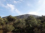 Sierra de Collcardús