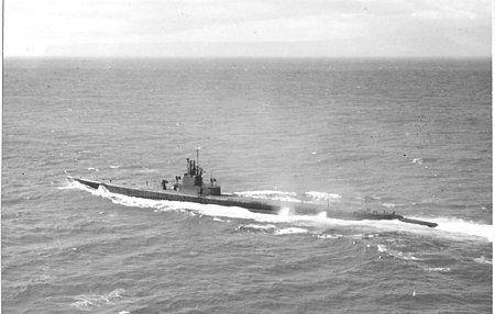 USS Muskallunge (SS-262)
