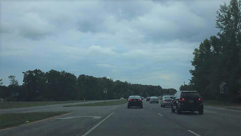 File:US 19 US 41 GA 3 in Hampton, GA at the western terminus of GA 20.jpg