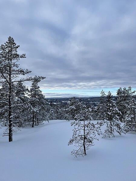 File:Utsikt från skidspåret.jpg