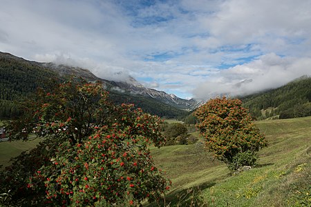 Biosfera Val Müstair - Oberhalb Fuldera, Blick Richtung Ofenpass. Piz Dora und Piz Daint in Wolken.