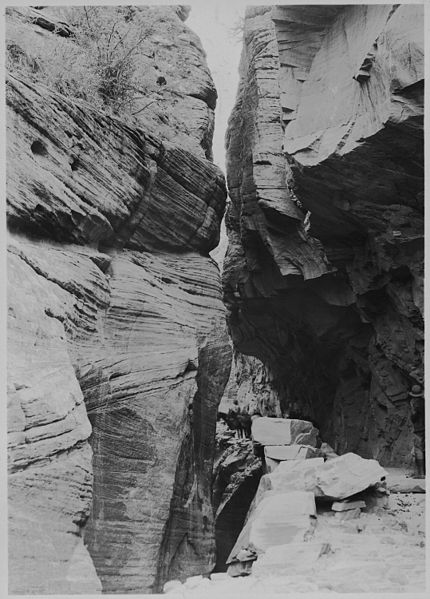 File:View down Zion Canyon from east side of Observation Point, with Julius Madsen, transportation agent at Zion for the... - NARA - 520543.jpg