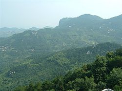 大崎山(贾庙乡)