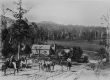 Farm in the Mudgeeraba district ca. 1891 (not Schmidt Farmhouse) View of a farm in the Mudgeeraba district ca. 1891.tiff