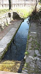 Quarenghi-Weinberge