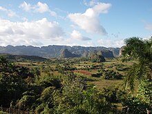 caribbean tourism