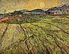 Vincent Willem van Gogh 063.jpg