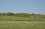 Vorschaubild für Weinbau in Albanien