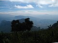 Miniatura para Reserva de la biosfera Sierra Gorda