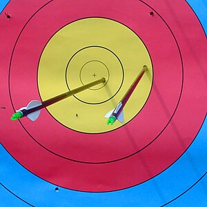 WA archery target with arrows.jpg