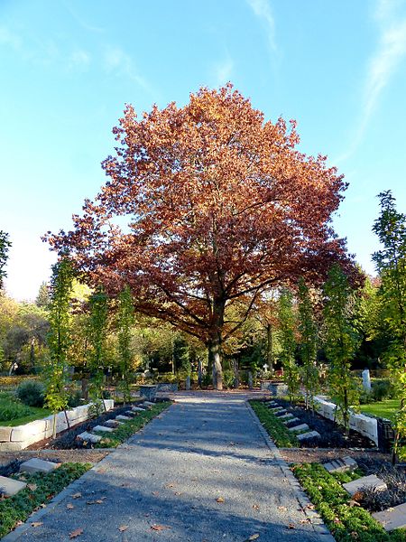 File:WLE 2017 Melatenfriedhof 01.jpg